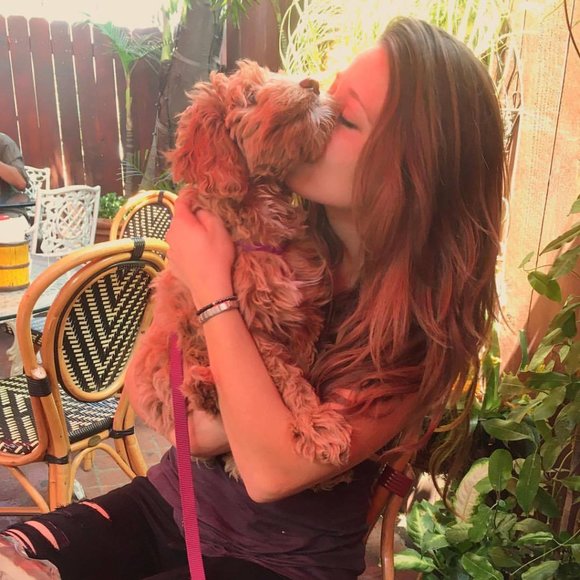 Meet your Posher, Lexie - Picture 1 of 1